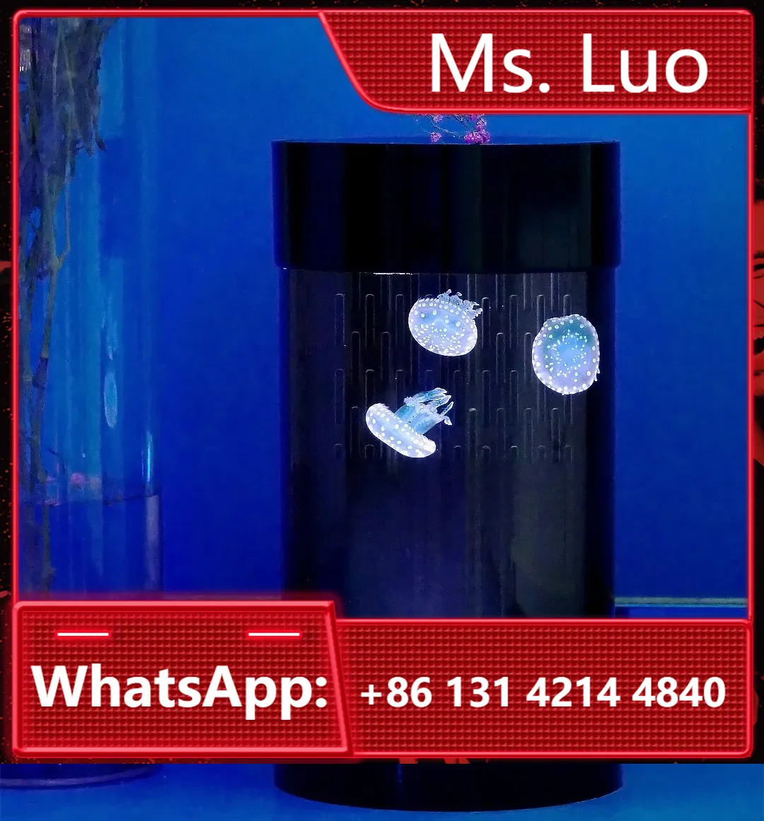 Aquarium Fish Amazon - Acquario per Meduse Best Seller su