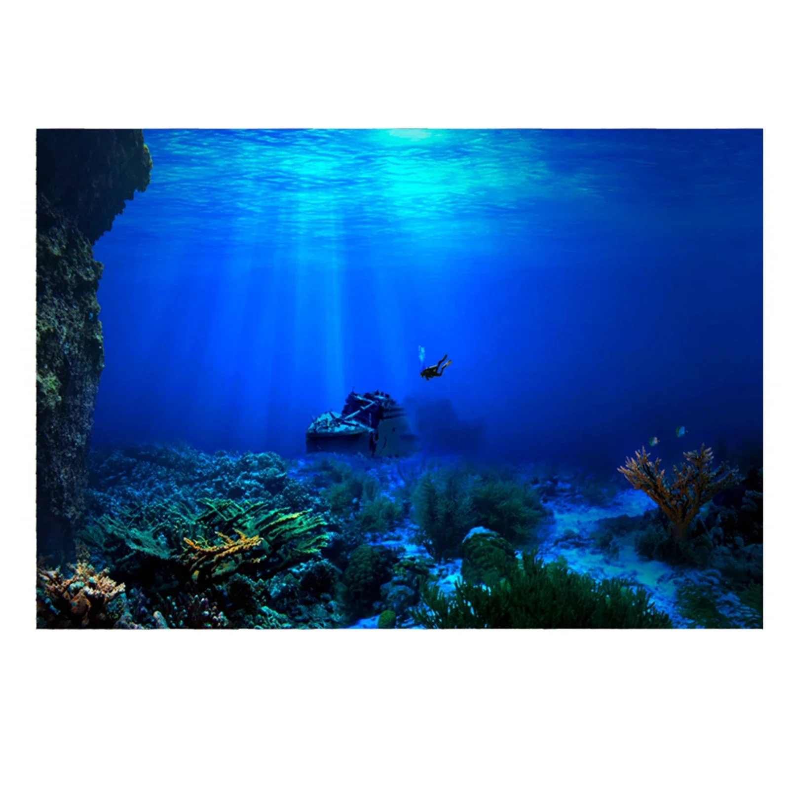 Aquarium Fish World - Foresta pluviale acquario sfondo Poster Fish