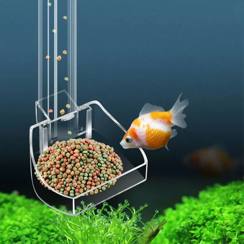 Aquarium Fish Variety - Tubo di alimentazione in acrilico per