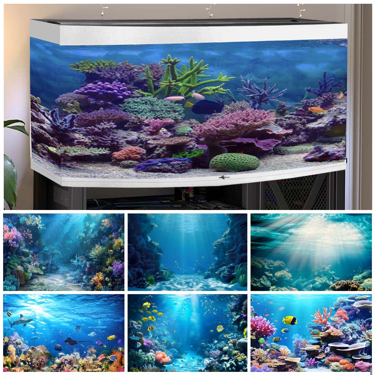 Aquarium Fish World - Sfondi del mondo sottomarino per fotografie