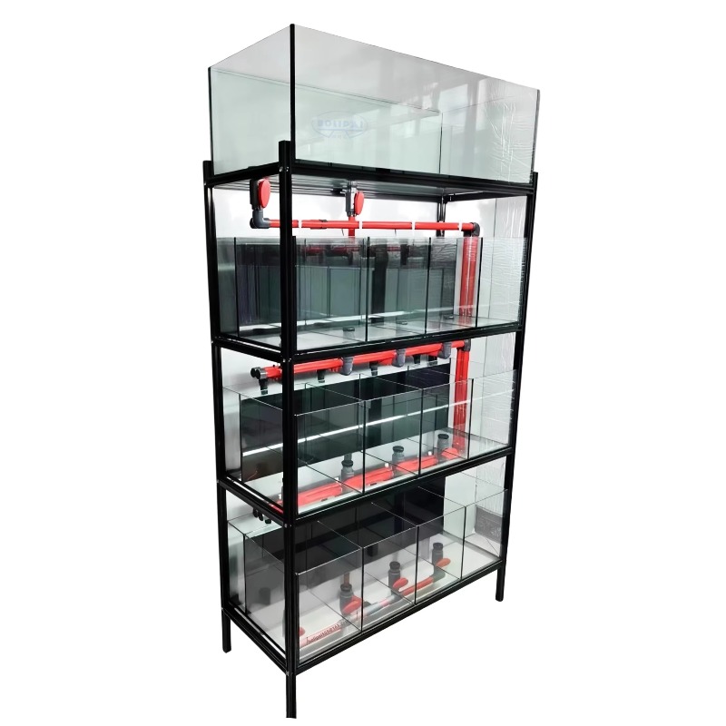 Aquarium Fish Glass - Sistema di Supporto Personalizzato per Acquari