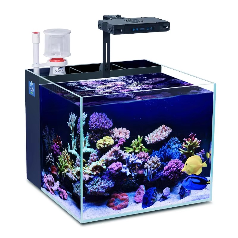 Protein Skimmer Reef - Skimmer Proteico con Luce LED Tutto