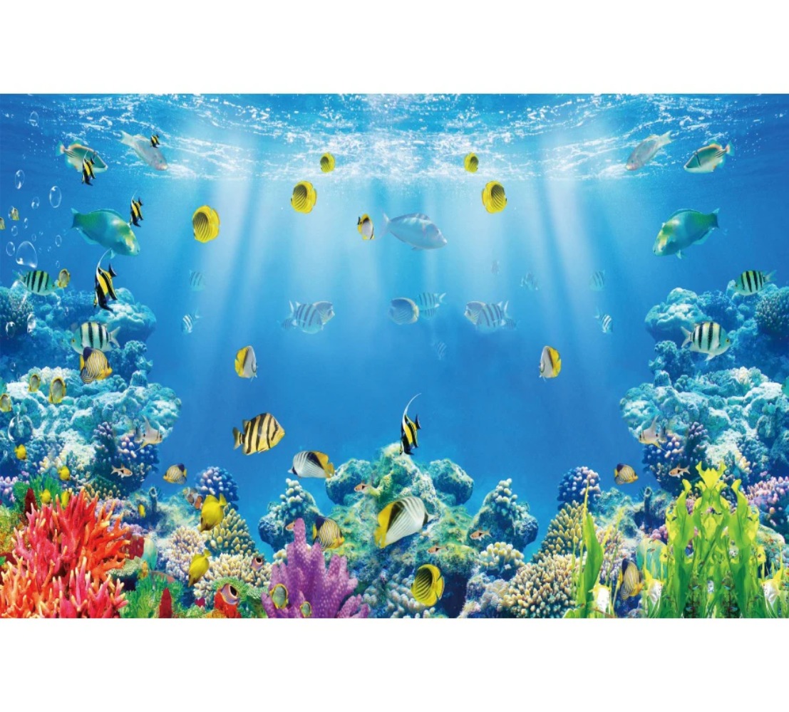 Sfondo Fotografico a Tema Acqu - Aquarium Fish World recensione e prezzo