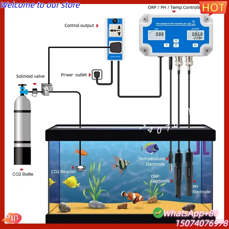 Rilevatore Wireless WiFi 2026  - Aquarium Fish Online recensione e prezzo