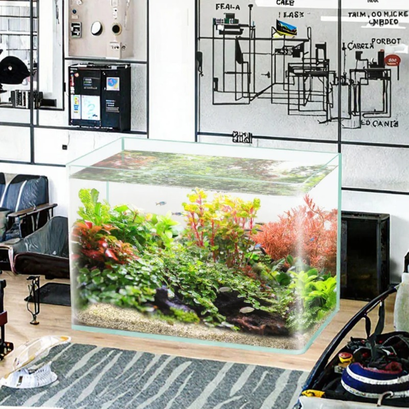 Scatola da imballaggio per acq - Aquarium Fish Glass recensione e prezzo