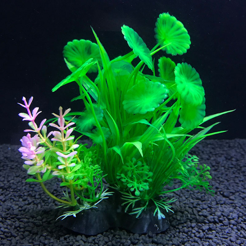 Decorazione dell'acquario una  - Aquarium Fish Variety recensione e prezzo