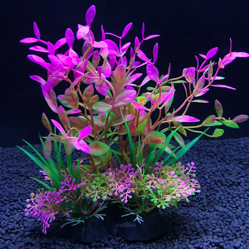 Decorazione dell'acquario una  - Aquarium Fish Variety recensione e prezzo