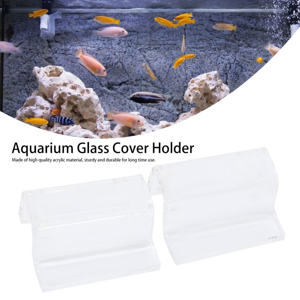 4 pezzi set supporto per coper - Aquarium Fish Glass recensione e prezzo