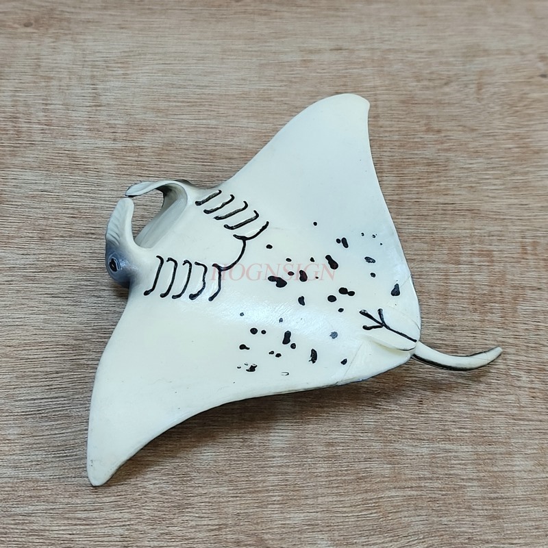 Modellino Giocattolo Mondo Sot - Aquarium Fish World recensione e prezzo