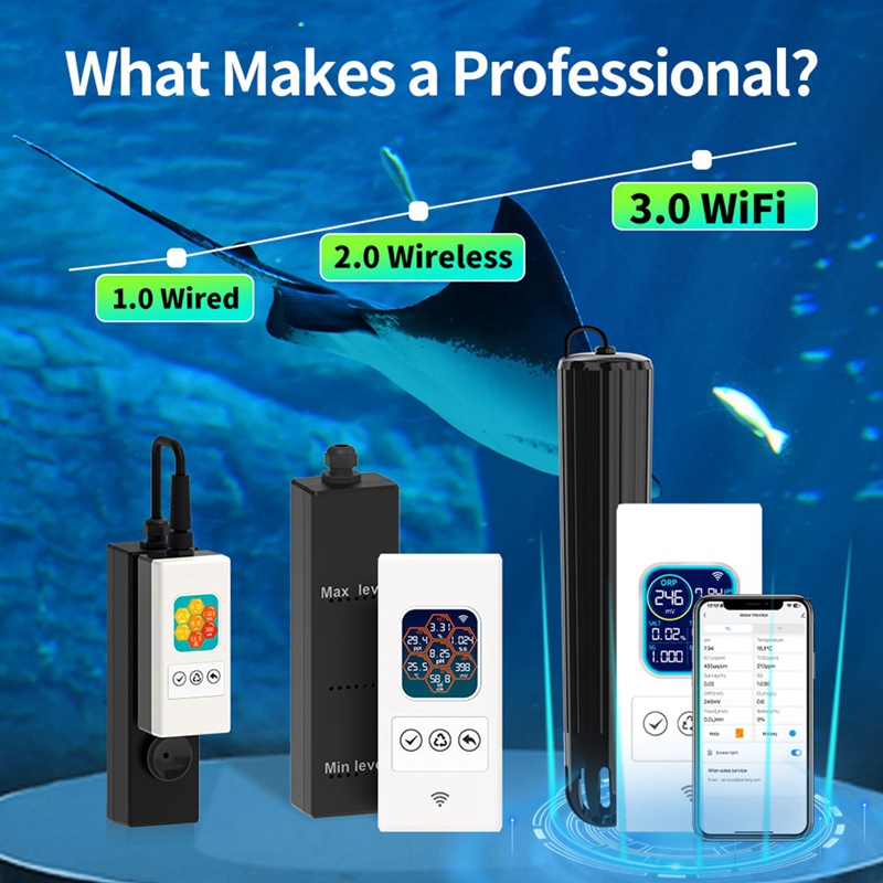 【ACQUISTA AGORA】Monitor intell - Aquarium Fish Online recensione e prezzo