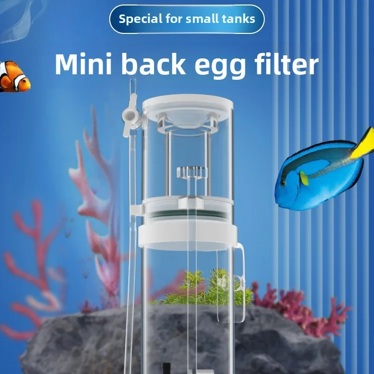 Nuovo Mini Separatore di Prote - Protein Skimmer Reef recensione e prezzo