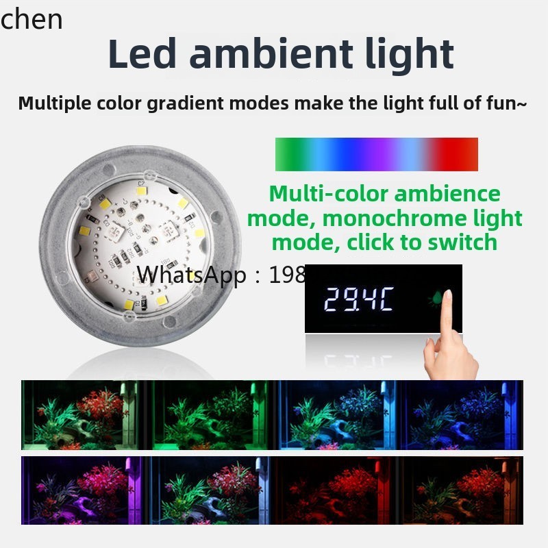 Acquario YGG in vetro ultra-bi - Aquarium Fish Without Oxygen recensione e prezzo