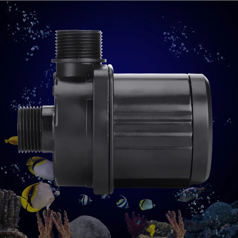 110-240V Stella Marina Rossa A - Protein Skimmer Reef recensione e prezzo