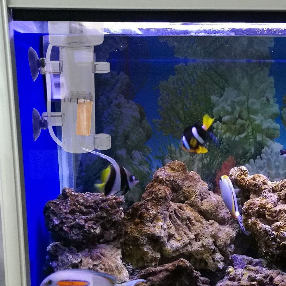 Skimmer di Proteine Interno Mi - Protein Skimmer Reef recensione e prezzo