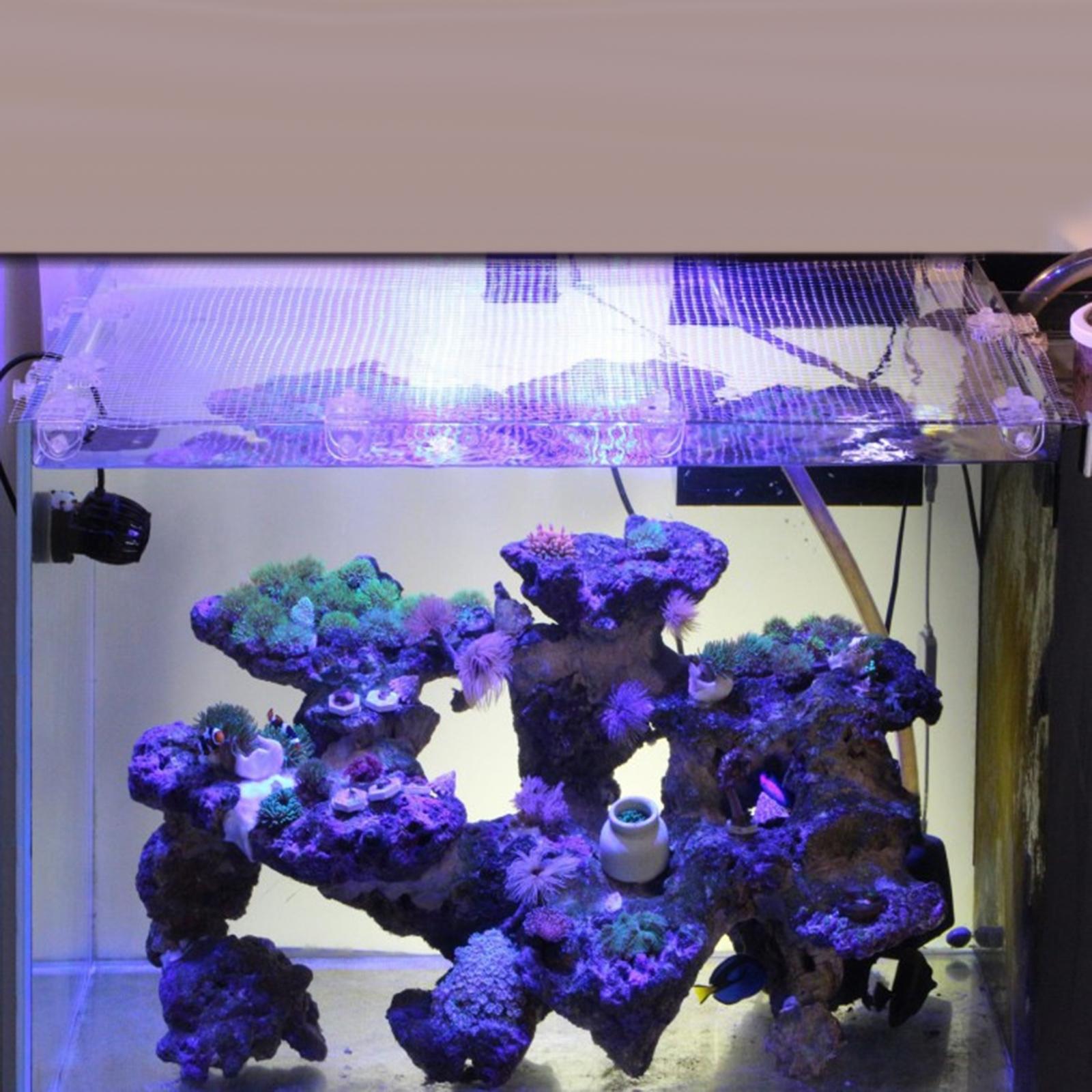 Rete Trasparente in Acrilico p - Tank Divider Mesh recensione e prezzo