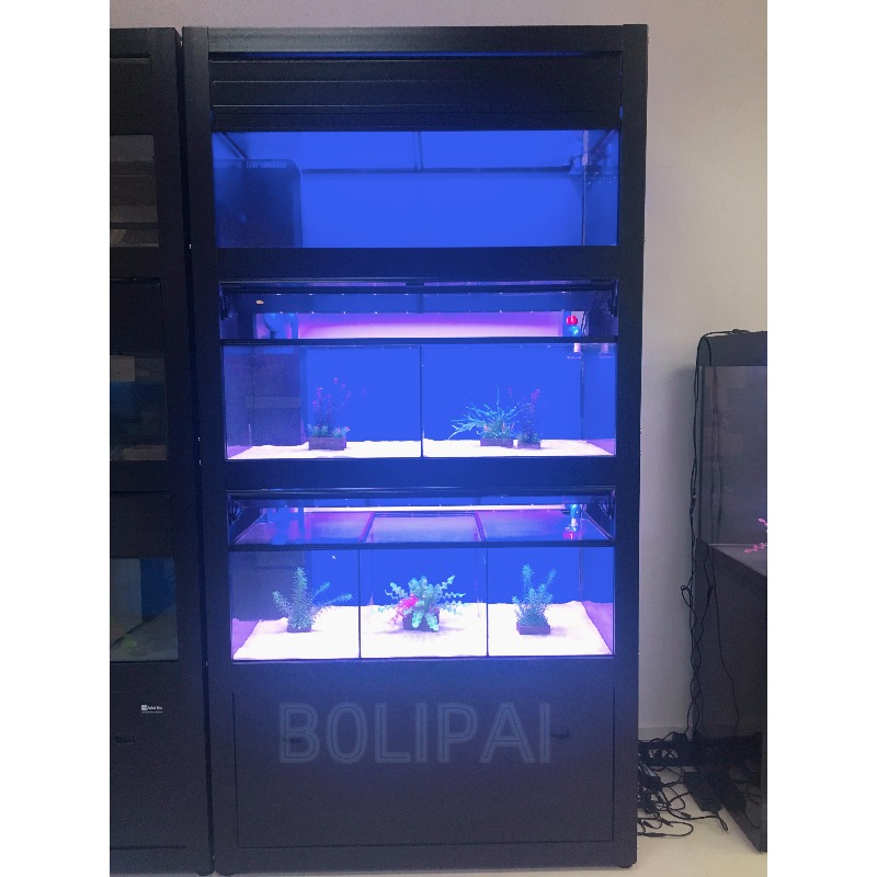 Sistema di Supporto Personaliz - Aquarium Fish Glass recensione e prezzo
