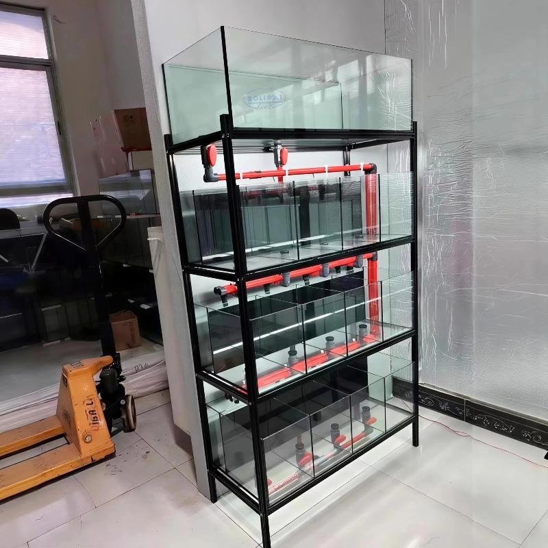 Sistema di Supporto Personaliz - Aquarium Fish Glass recensione e prezzo
