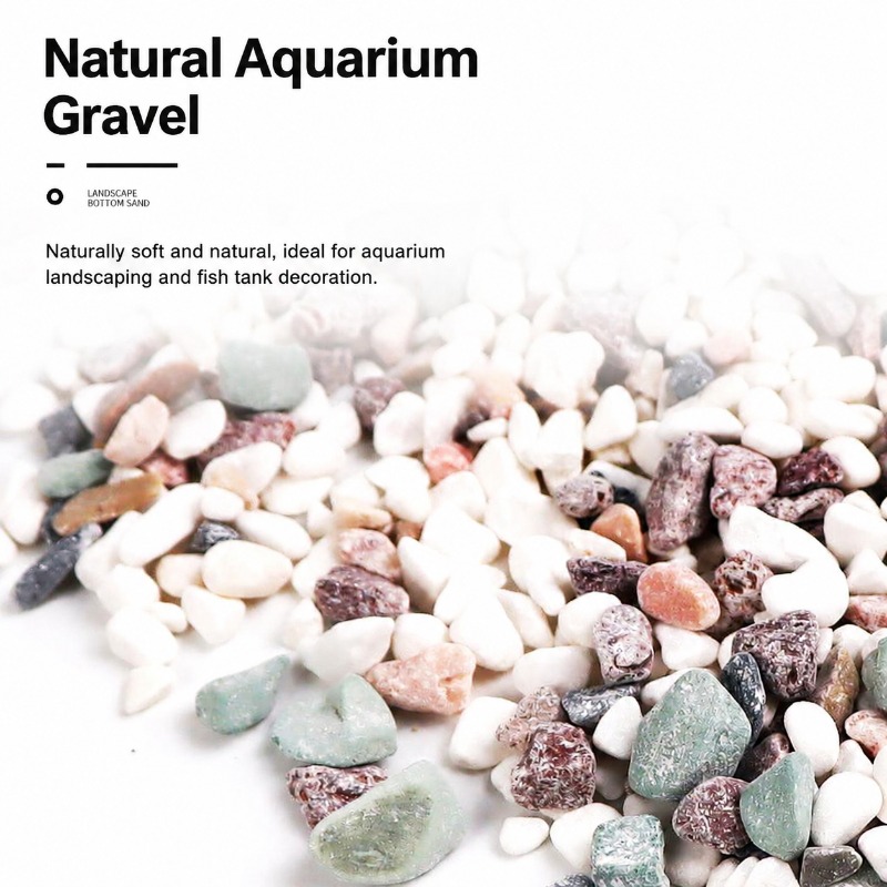Sabbia per acquario senza risc - Aquarium Fish Amazon recensione e prezzo