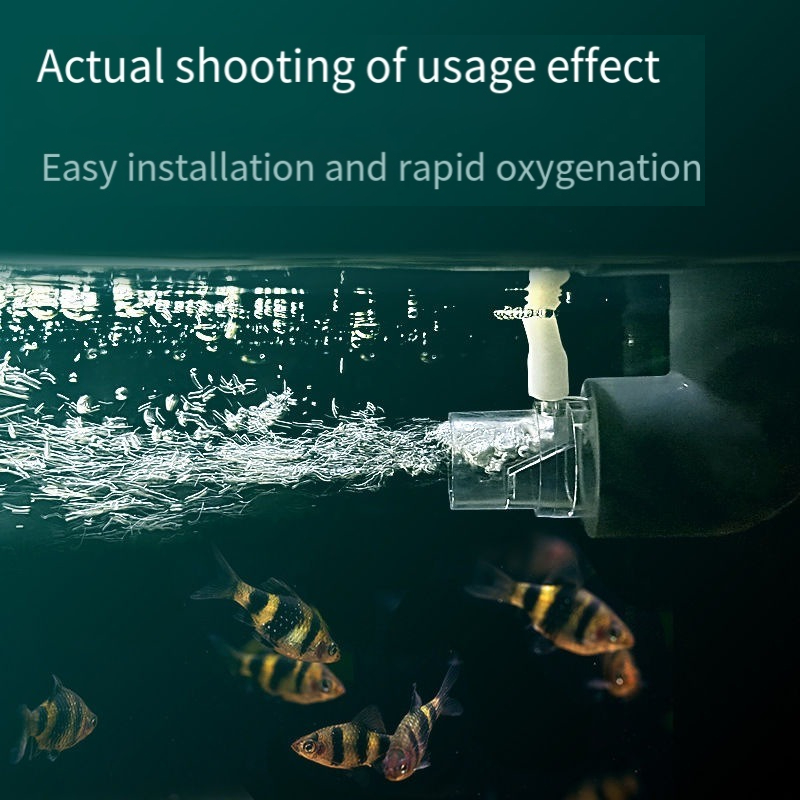 Filtro per tubo diffusore di o - Aquarium Fish Without Oxygen recensione e prezzo